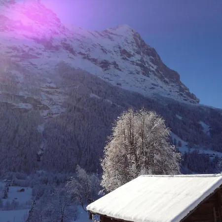 Baergsunna-2 By Interhome Apartman Grindelwald