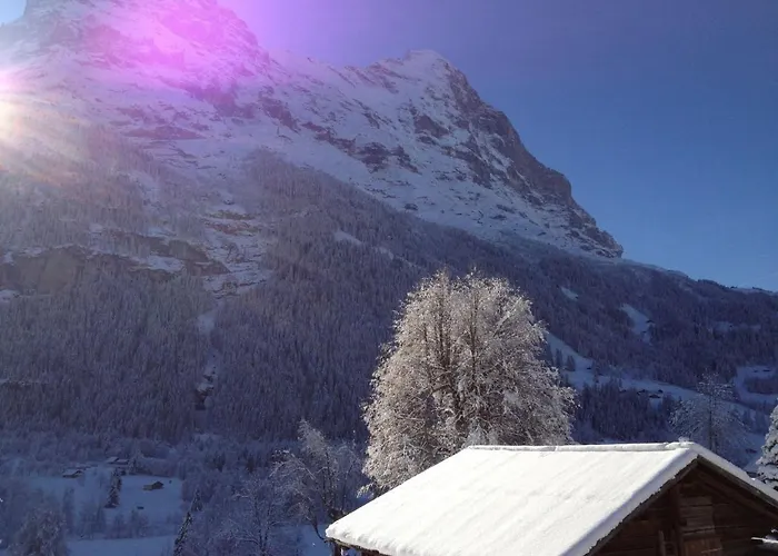 Baergsunna-2 By Interhome Lejlighed Grindelwald